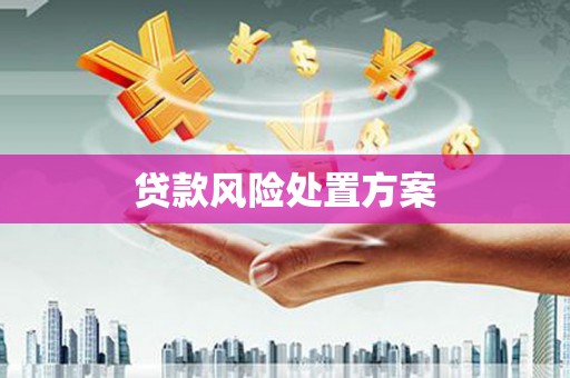 洛扎贷款风险处置方案