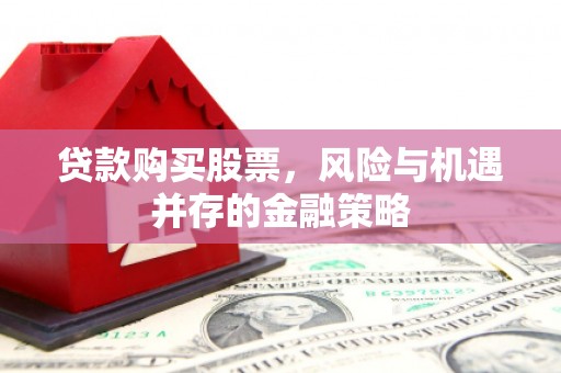 洛扎贷款购买股票，风险与机遇并存的金融策略