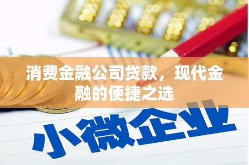 洛扎消费金融公司贷款，现代金融的便捷之选