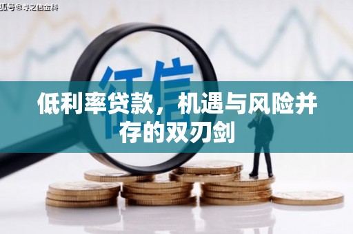洛扎低利率贷款，机遇与风险并存的双刃剑