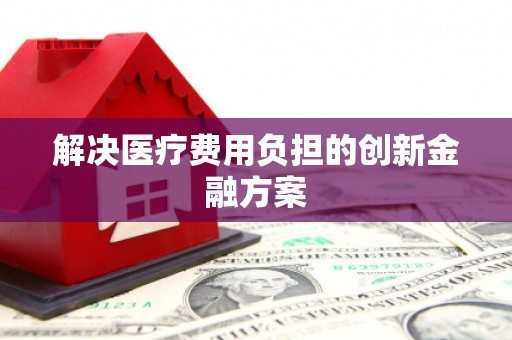 洛扎解决医疗费用负担的创新金融方案