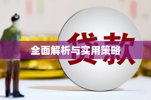 洛扎全面解析与实用策略