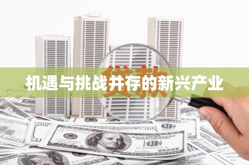 洛扎机遇与挑战并存的新兴产业