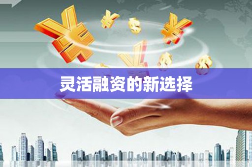洛扎灵活融资的新选择