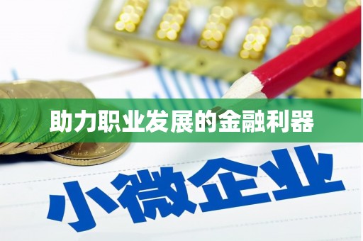 洛扎助力职业发展的金融利器