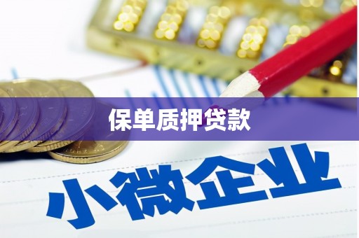 洛扎保单质押贷款