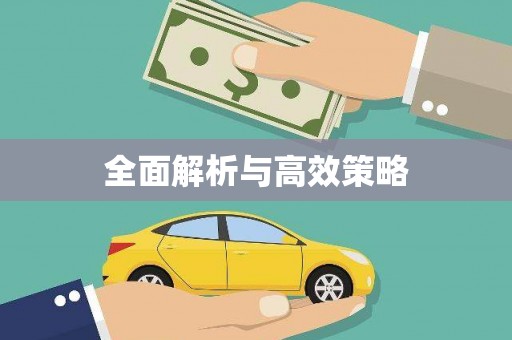 洛扎全面解析与高效策略