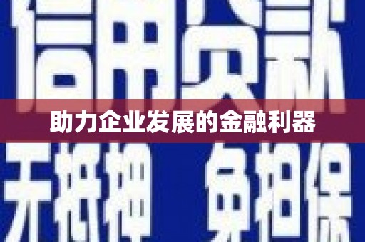 洛扎助力企业发展的金融利器
