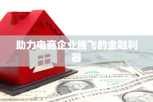 洛扎助力电商企业腾飞的金融利器