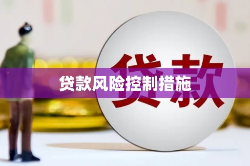 洛扎贷款风险控制措施