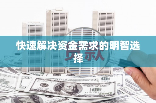 洛扎快速解决资金需求的明智选择