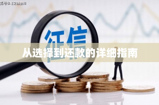 洛扎从选择到还款的详细指南
