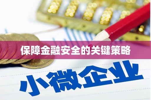 洛扎保障金融安全的关键策略