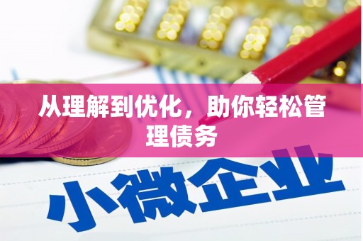 洛扎从理解到优化，助你轻松管理债务