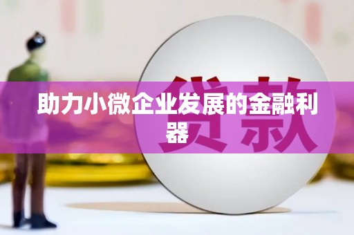 洛扎助力小微企业发展的金融利器