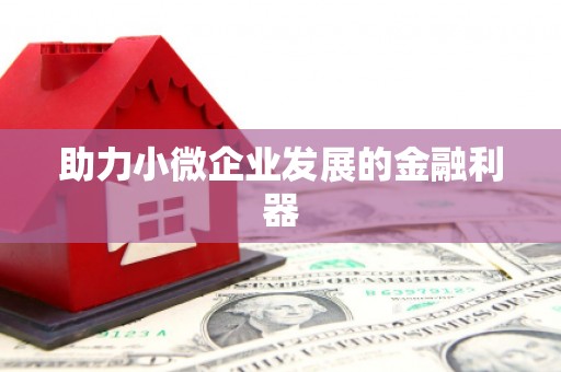 洛扎助力小微企业发展的金融利器