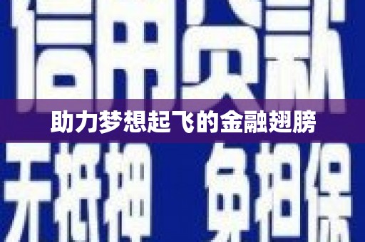 洛扎助力梦想起飞的金融翅膀