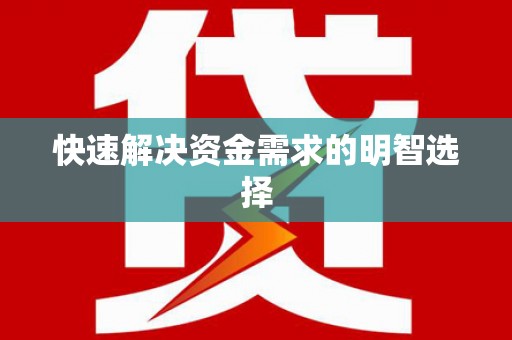 洛扎快速解决资金需求的明智选择