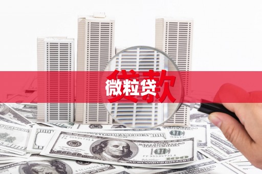 洛扎微粒贷