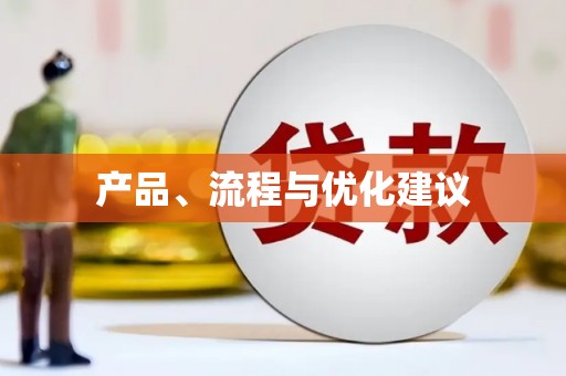 洛扎产品、流程与优化建议