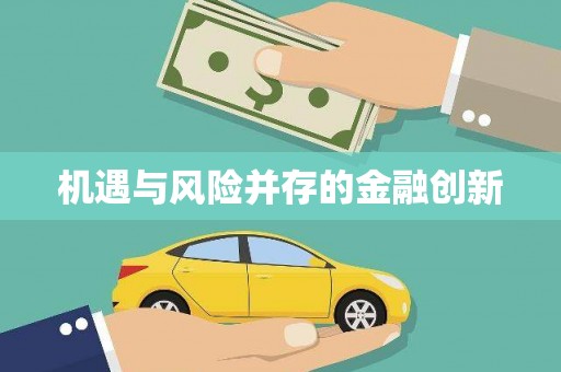 洛扎机遇与风险并存的金融创新
