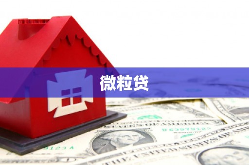 洛扎微粒贷
