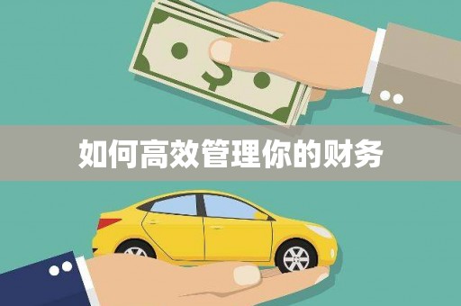 洛扎如何高效管理你的财务