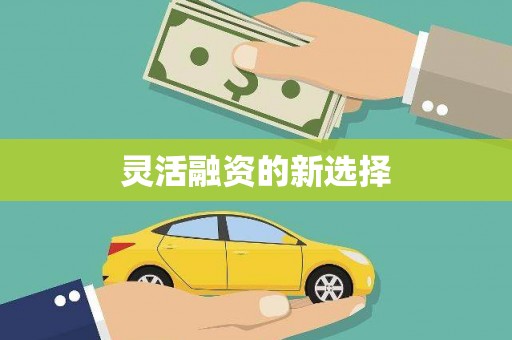 洛扎灵活融资的新选择