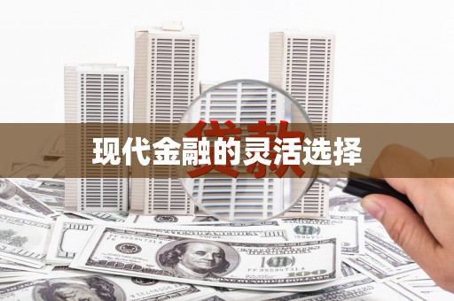 洛扎现代金融的灵活选择