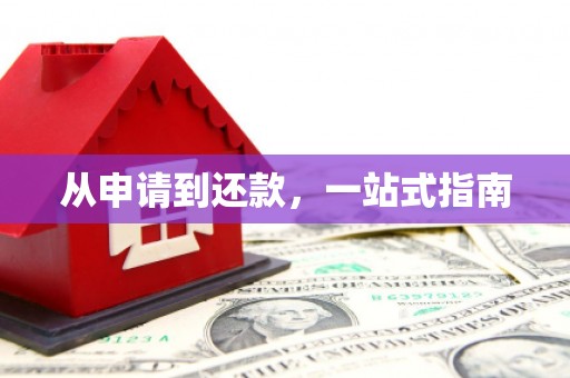 洛扎从申请到还款，一站式指南