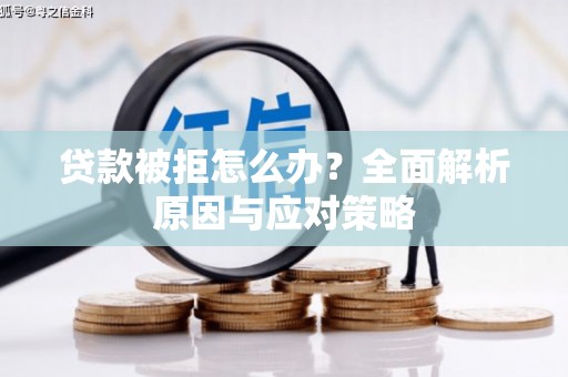 洛扎贷款被拒怎么办？全面解析原因与应对策略