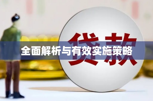 洛扎全面解析与有效实施策略