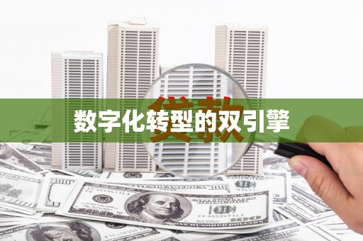 洛扎数字化转型的双引擎