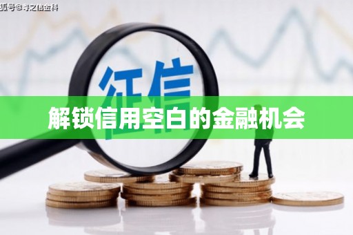 洛扎解锁信用空白的金融机会