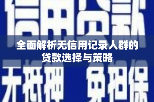 洛扎全面解析无信用记录人群的贷款选择与策略