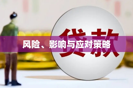 洛扎风险、影响与应对策略