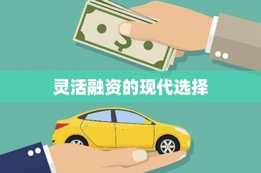 洛扎灵活融资的现代选择