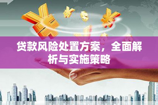 洛扎贷款风险处置方案，全面解析与实施策略