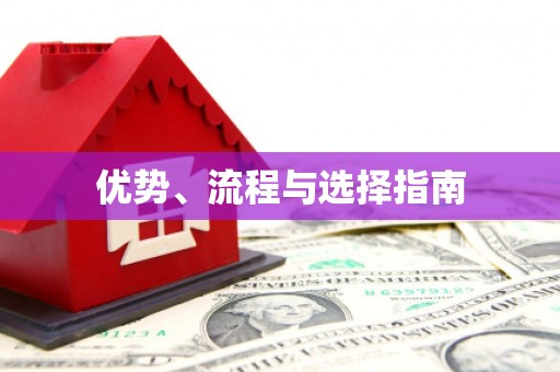 洛扎优势、流程与选择指南