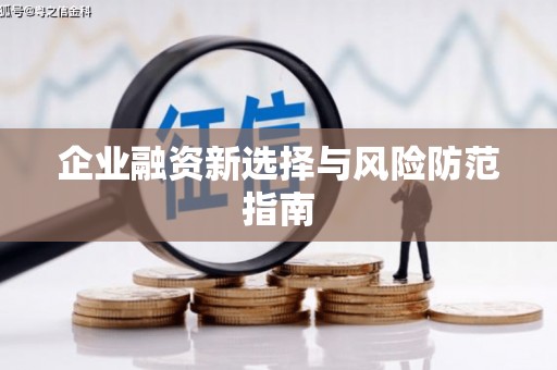 洛扎企业融资新选择与风险防范指南
