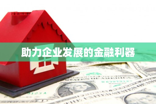 洛扎助力企业发展的金融利器