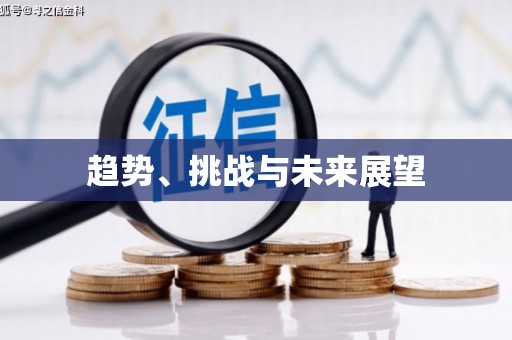 洛扎趋势、挑战与未来展望