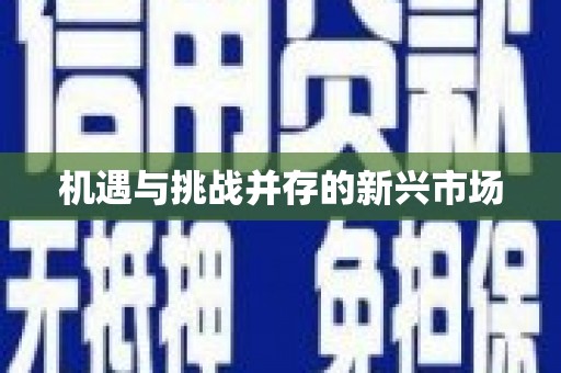 洛扎机遇与挑战并存的新兴市场