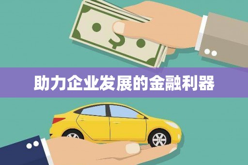 洛扎助力企业发展的金融利器