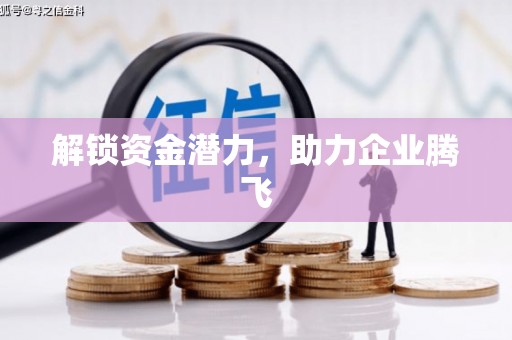 洛扎解锁资金潜力，助力企业腾飞