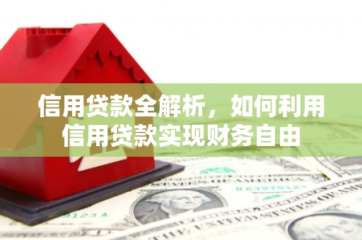 洛扎信用贷款全解析，如何利用信用贷款实现财务自由