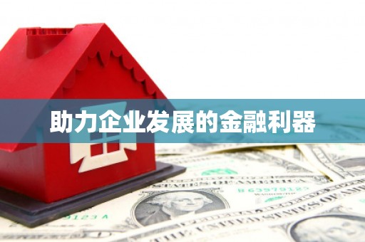 洛扎助力企业发展的金融利器