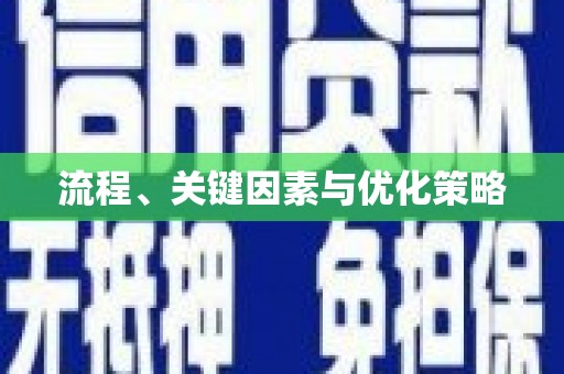 洛扎流程、关键因素与优化策略