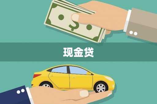 洛扎现金贷