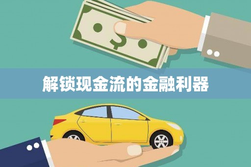 洛扎解锁现金流的金融利器